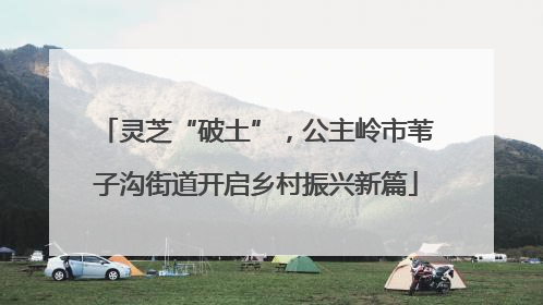 灵芝“破土”，公主岭市苇子沟街道开启乡村振兴新篇