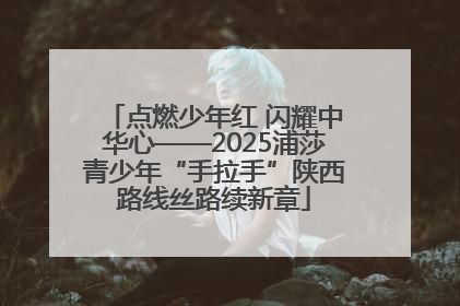 点燃少年红 闪耀中华心——2025浦莎青少年“手拉手”陕西路线丝路续新章