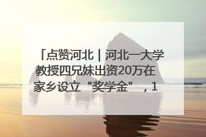 点赞河北｜河北一大学教授四兄妹出资20万在家乡设立“奖学金”，13年为320名农村学生种下“希望的种子”