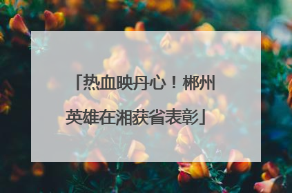 热血映丹心！郴州英雄在湘获省表彰
