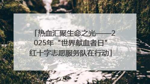 热血汇聚生命之光——2025年“世界献血者日”红十字志愿服务队在行动