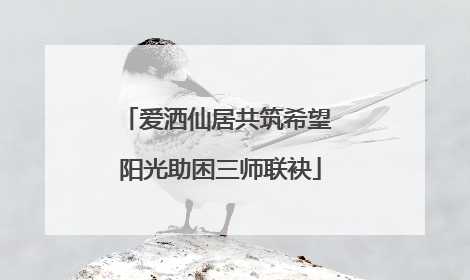 爱洒仙居共筑希望 阳光助困三师联袂