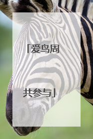 爱鸟周 共参与