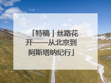 特稿｜丝路花开——从北京到阿斯塔纳纪行