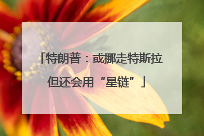 特朗普：或挪走特斯拉 但还会用“星链”