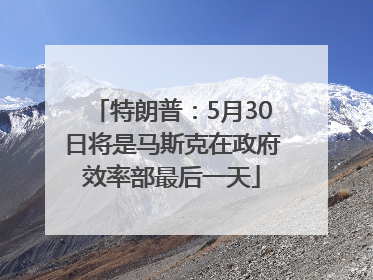特朗普：5月30日将是马斯克在政府效率部最后一天