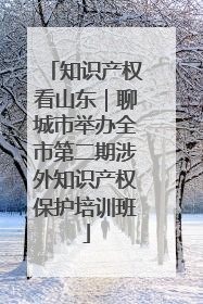 知识产权看山东｜聊城市举办全市第二期涉外知识产权保护培训班