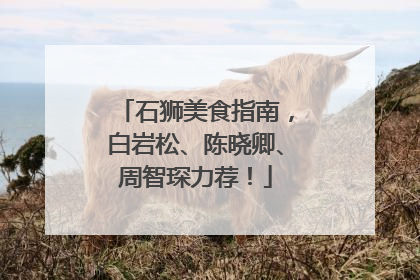 石狮美食指南，白岩松、陈晓卿、周智琛力荐！