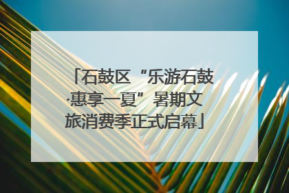 石鼓区“乐游石鼓·惠享一夏”暑期文旅消费季正式启幕