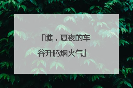 瞧，夏夜的车谷升腾烟火气