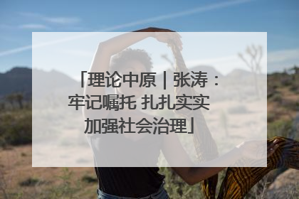 理论中原｜张涛：牢记嘱托 扎扎实实加强社会治理