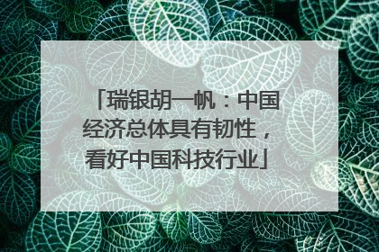 瑞银胡一帆：中国经济总体具有韧性，看好中国科技行业