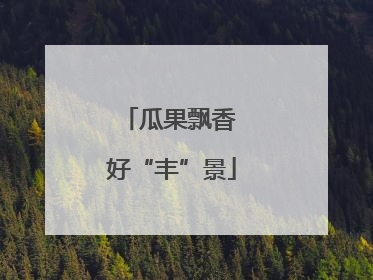 瓜果飘香 好“丰”景