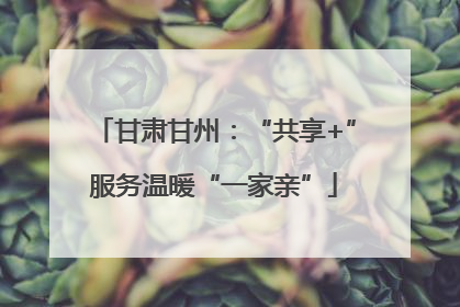 甘肃甘州：“共享+”服务温暖“一家亲”