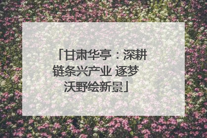 甘肃华亭：深耕链条兴产业 逐梦沃野绘新景