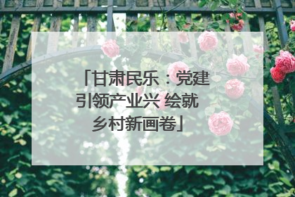 甘肃民乐：党建引领产业兴 绘就乡村新画卷
