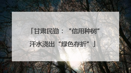 甘肃民勤：“信用种树” 汗水浇出“绿色存折”
