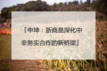 申坤：浙商是深化中非务实合作的新桥梁