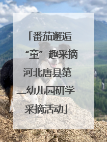 番茄邂逅 “童”趣采摘 河北唐县第二幼儿园研学采摘活动