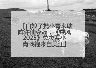 白娘子携小青来助阵许仙夺冠，《乘风2025》总决赛小青战袍来自吴江