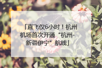 直飞仅6小时！杭州机场首次开通“杭州-新疆伊宁”航线