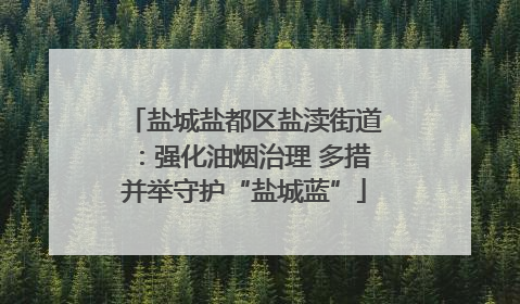 盐城盐都区盐渎街道：强化油烟治理 多措并举守护“盐城蓝”