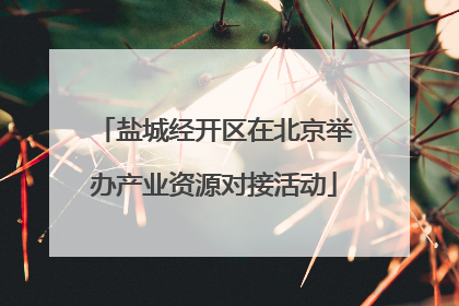 盐城经开区在北京举办产业资源对接活动