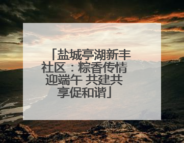盐城亭湖新丰社区：粽香传情迎端午 共建共享促和谐