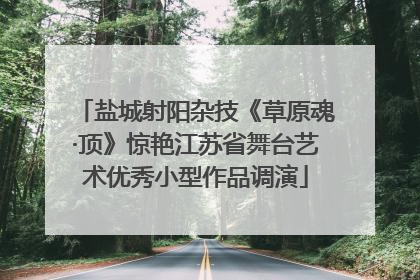 盐城射阳杂技《草原魂·顶》惊艳江苏省舞台艺术优秀小型作品调演