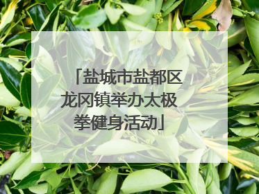 盐城市盐都区龙冈镇举办太极拳健身活动