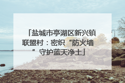 盐城市亭湖区新兴镇联盟村：密织“防火墙”守护蓝天净土