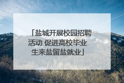 盐城开展校园招聘活动 促进高校毕业生来盐留盐就业