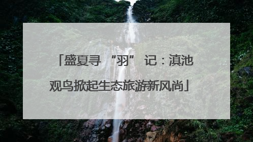 盛夏寻 “羽” 记：滇池观鸟掀起生态旅游新风尚
