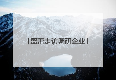 盛蕾走访调研企业