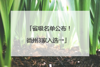省级名单公布！德州3家入选→