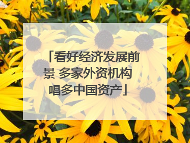 看好经济发展前景 多家外资机构唱多中国资产