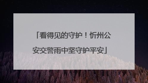 看得见的守护！忻州公安交警雨中坚守护平安