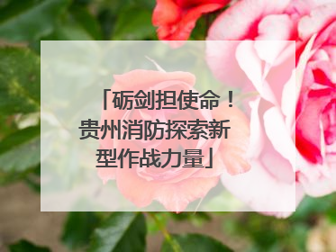 砺剑担使命！贵州消防探索新型作战力量