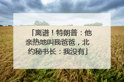 离谱！特朗普：他亲热地叫我爸爸，北约秘书长：我没有