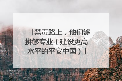 禁毒路上，他们够拼够专业（建设更高水平的平安中国）