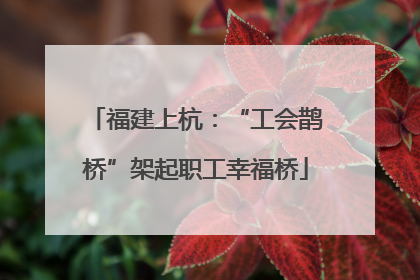 福建上杭：“工会鹊桥”架起职工幸福桥