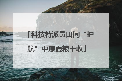 科技特派员田间“护航”中原夏粮丰收