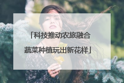 科技推动农旅融合 蔬菜种植玩出新花样