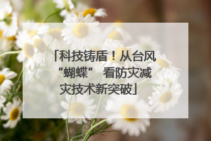 科技铸盾！从台风“蝴蝶” 看防灾减灾技术新突破