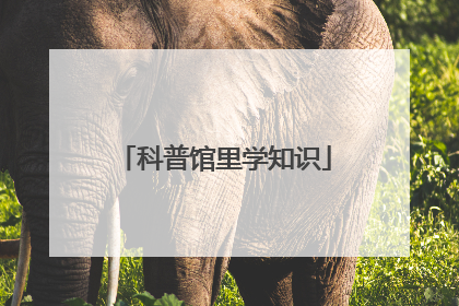 科普馆里学知识