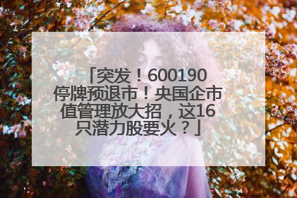 突发！600190停牌预退市！央国企市值管理放大招，这16只潜力股要火？