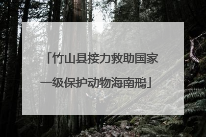 竹山县接力救助国家一级保护动物海南鳽