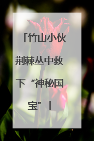 竹山小伙荆棘丛中救下“神秘国宝”