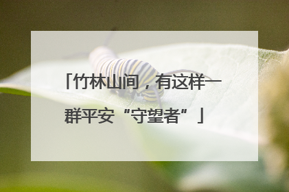 竹林山间，有这样一群平安“守望者”