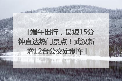 端午出行，最短15分钟直达热门景点！武汉新增12台公交定制车